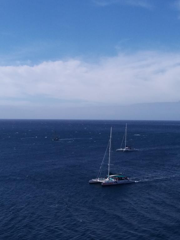 Leilighet Paradise